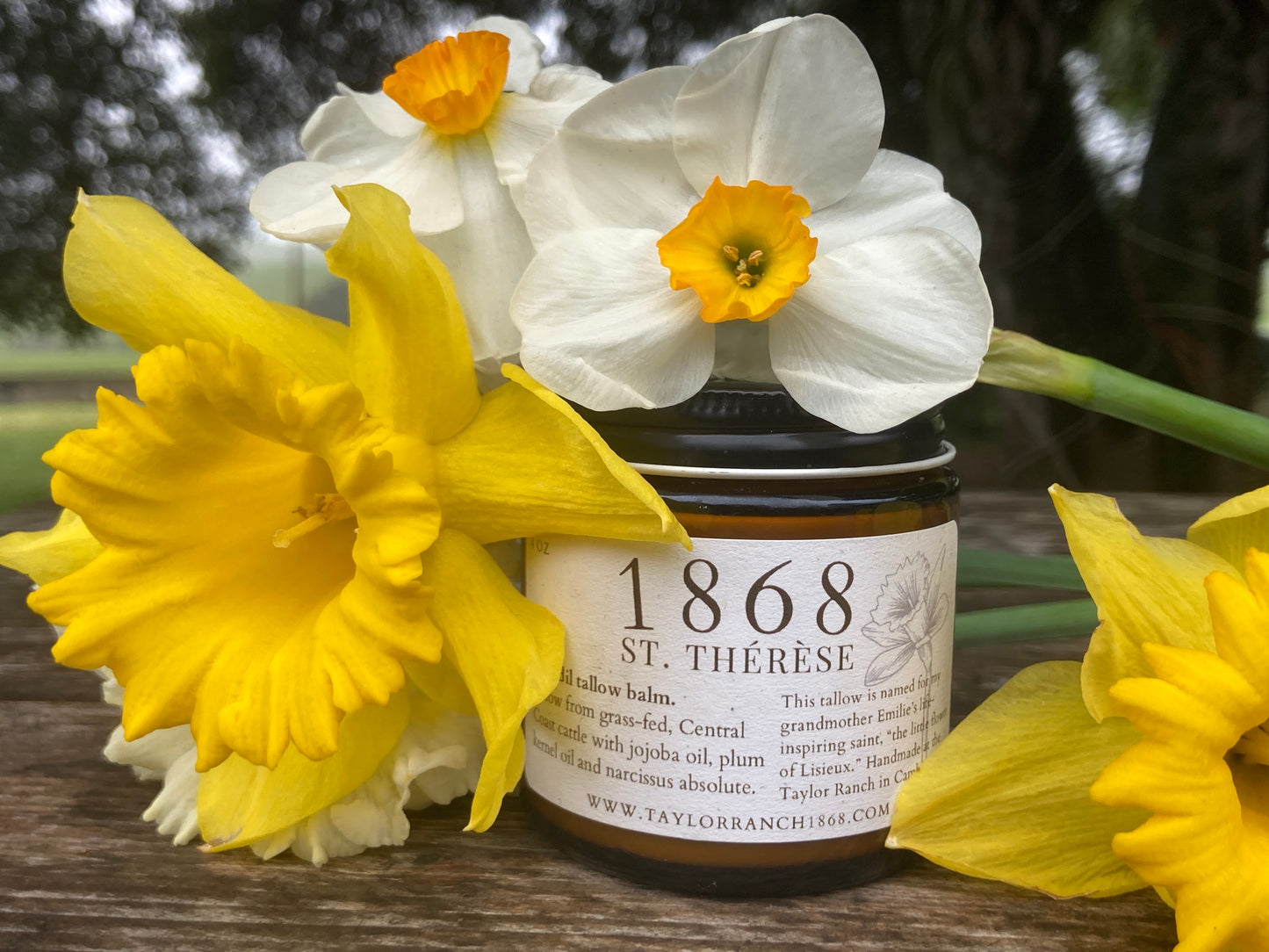 St. Thérèse Daffodil Tallow Balm 4 Ounce