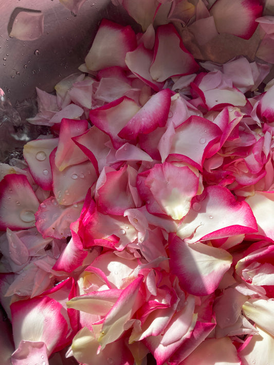 Rosewater Toner 4 oz.